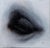 Decisive Point by Che Leviathan | Oil on Artefex ACM panel Close-up of an animal's eye For Sale