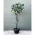 Vintage Italian Painted Metal Lemon Tree For Sale In West Palm - Image 6 of 12