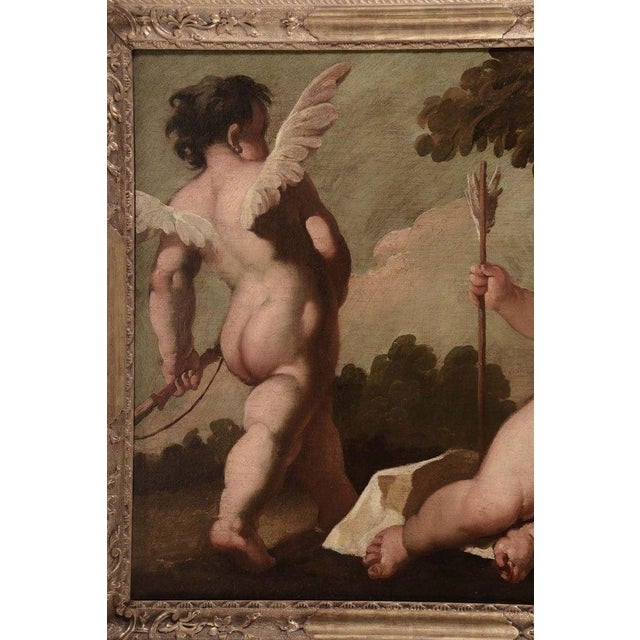 Gaspare Diziani, Cupids at Play, Oil on Canvas, 18th Century, Framed For Sale - Image 7 of 10