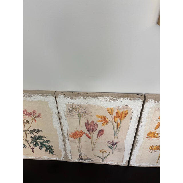 Botanical Canvas Wall Art- Set of 4 For Sale - Image 4 of 12