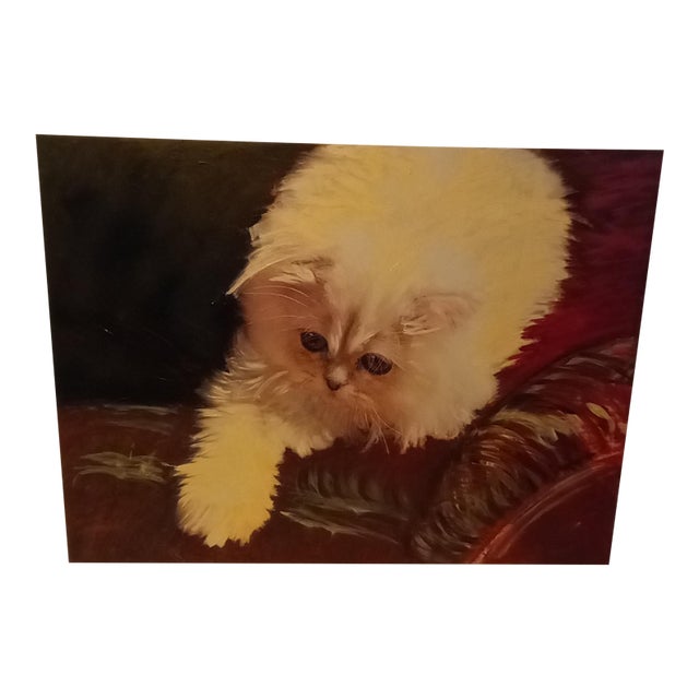White Himalayan Cat 18"x24" Oil Painting For Sale