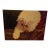 White Himalayan Cat 18"x24" Oil Painting For Sale