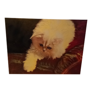 White Himalayan Cat 18"x24" Oil Painting