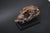Big Cat Skull Sculpture on Black Display Stand, 1990s For Sale - Image 9 of 10