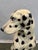 Large Mid-Century Dalmatian Dog Sculpture Hand-Painted Ceramic Figure For Sale In San Francisco - Image 6 of 12