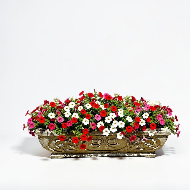 Rustic European 1950s Vintage Fleur Di Lis Rectangular French Concrete Planter For Sale - Image 3 of 10