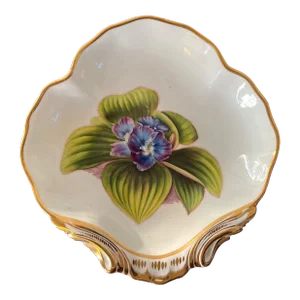 Antique 18th Century English George III Derby Porcelain Botanical Shell Shape Dish Plate Painted by William Quaker Pegg