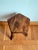 Brutalist Stool in Wood, 1960s For Sale - Image 6 of 11