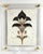 Black “Sovereign” Art Deco Floral Fragment| Hand-Textured Acrylic Frame Wall Art For Sale - Image 8 of 9