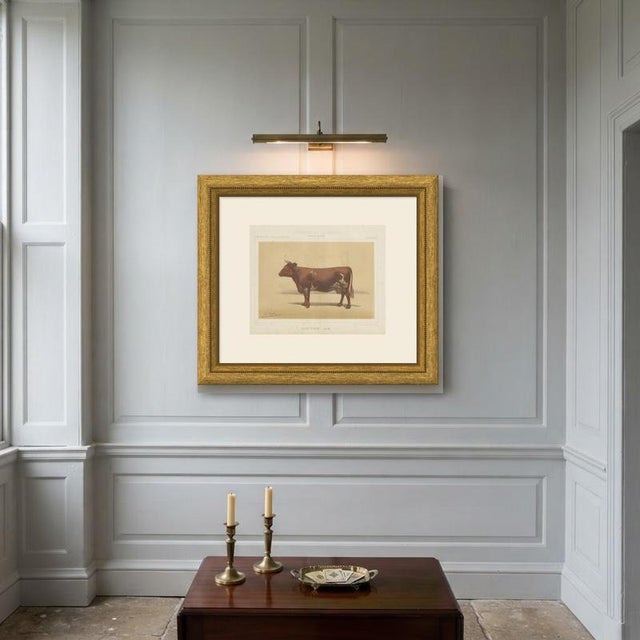 Paper Olivier De Penne, Ayrshire Cow, Scottish Dairy Cattle, 1863, Chromolithograph For Sale - Image 7 of 9