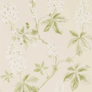 Sanderson Chestnut Tree Wallpaper in Lemon/Lettuce For Sale
