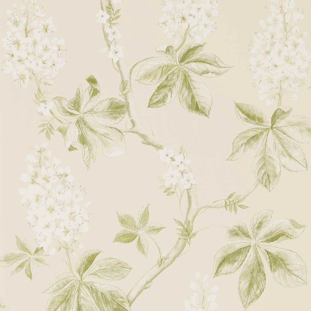 Sanderson Chestnut Tree Wallpaper in Lemon/Lettuce For Sale