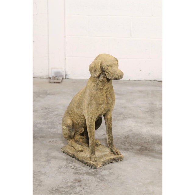 English Mid 20th Century Pair of Stone Labrador Garden Statues For Sale - Image 3 of 13