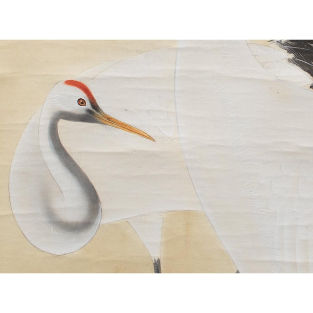 Khaki Early 20th C. Meiji to Early Showa Era Japanese Watercolor Scroll "Two Red-Crowned Cranes at the Sea" For Sale - Image 8 of 12