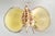Metal Bowl Caviar Dish Silver Dipped Shells Seashells For Sale - Image 7 of 14