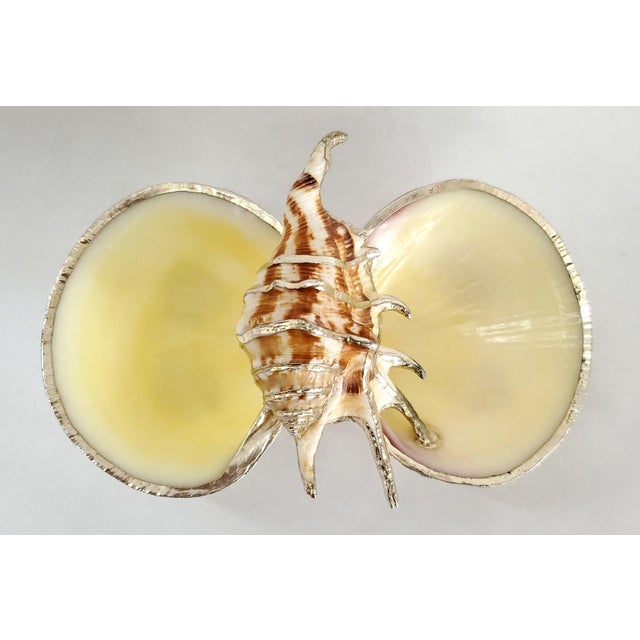 Metal Caviar Dish Silver Dipped Real Shells Seashells For Sale - Image 7 of 14