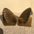 Metal Mid 20th Century Brass Seashell Bookends - a Pair For Sale - Image 7 of 9