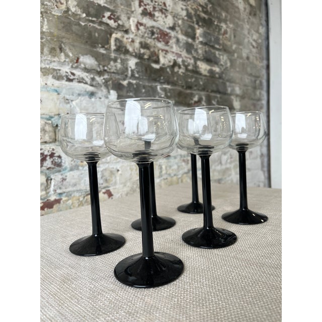 Classic with a twist—this set of six vintage coupe glasses features sleek black stems for a bold, modern edge. Perfect for...