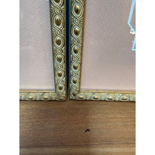 Etchings of Ancient Objects in Geometric Salmon Matte, Set of Three For Sale In San Francisco - Image 6 of 12