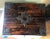 Black English Gothic Style Brass-Bound Two-Drawer Cigar Box in Macassar Ebony For Sale - Image 8 of 9