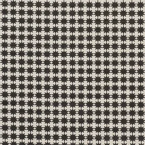 Schumacher X Studio Bon Stella Fabric in Black & Natural