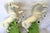 Mid 20th Century Mid Century Vintage Cast Ceramic Rearing White Mustangs With Glass Eyes- A Pair For Sale - Image 5 of 18