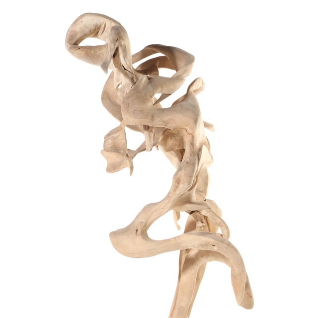 Monumental Teak Root Sculpture 7' Tall For Sale - Image 9 of 18