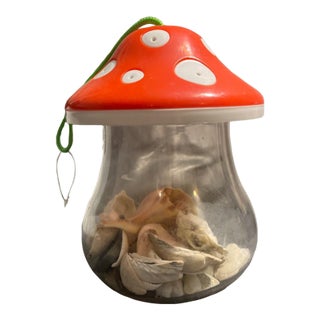 New England Curated Coastal Shell Display With Mushroom Lid For Sale