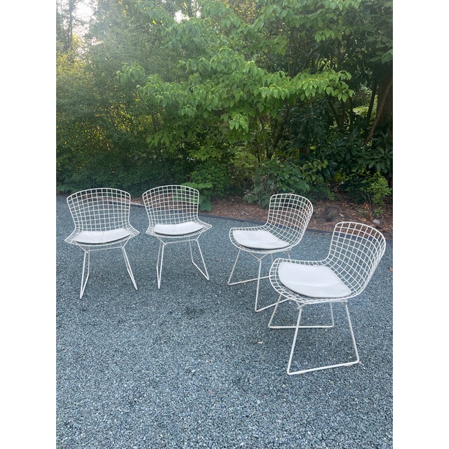 A Set of Four Wire Chairs by Harry Bertoia for Knoll International, Circa 1970 For Sale In Raleigh - Image 6 of 18