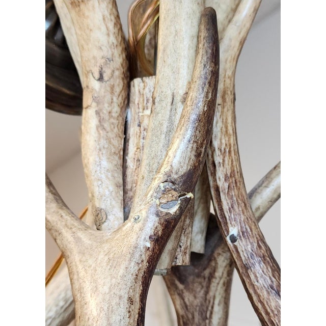 Antique Elk Antler Chandelier For Sale - Image 12 of 13