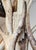 Antique Elk Antler Chandelier For Sale - Image 12 of 13