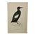 Antique Hand Tinted Bird Print From England Featuring a Black Guillemot - Circa 1888 For Sale