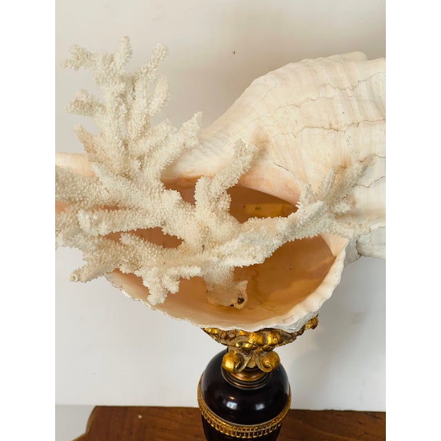 Contemporary 1960s Impressive Spiral Sea Shell On. Pricket Stand Assemblage For Sale - Image 3 of 5