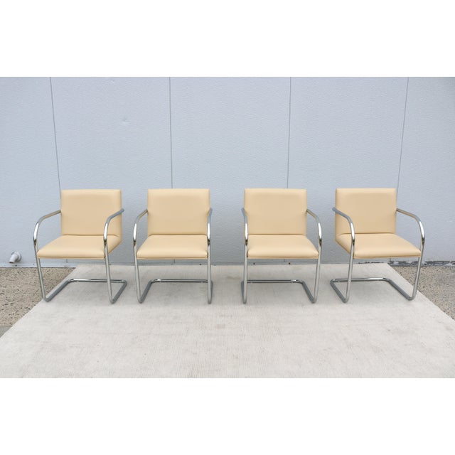 2010s Ludwig Mies Van Der Rohe Brno Tubular Chairs in Beige Leather by Gordon, Set of 4 For Sale - Image 5 of 18