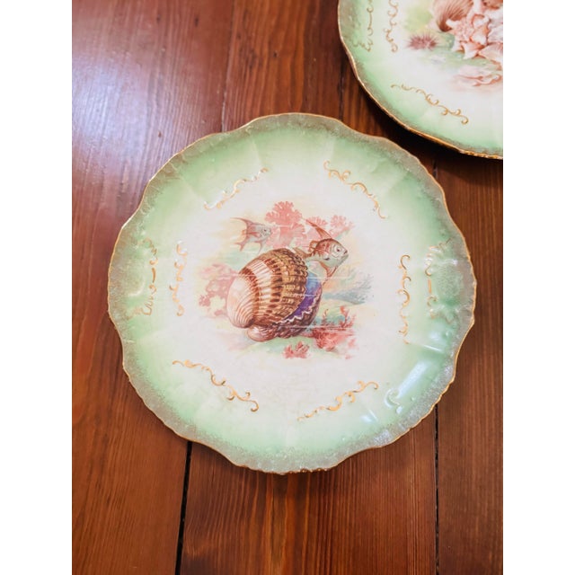 Traditional Set of Three! Limoge Style Antique Plates Made in the Usa by East Liverpool Potteries. For Sale - Image 3 of 6