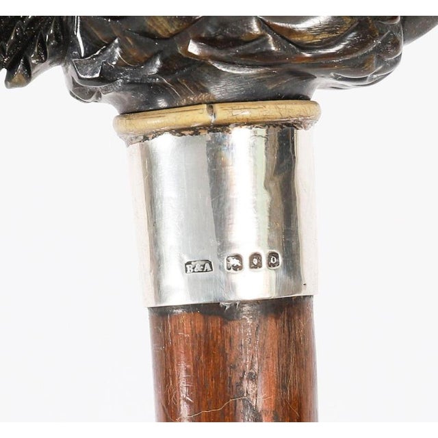Antique Art Deco Novelty Parrot Walking Stick Cane, 1920s For Sale - Image 3 of 15