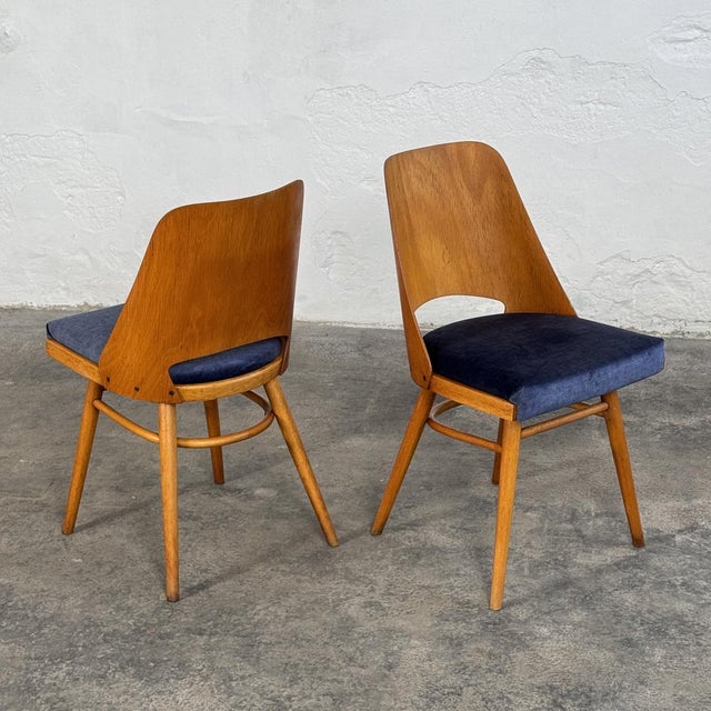Wood Mid-Century Modern Dining Chairs by Radomír Hofman for Ton, 1960s, Set of 2 For Sale - Image 7 of 14