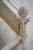 Pair of Louis XVI Cane Twin Beds For Sale - Image 10 of 14
