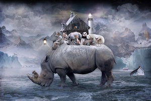 Shelter - Spirit of the Rhino by Marcin Owczarek | Photography of a rhino with animals on its back