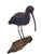 This Glossy Ibis sculpture is a finely executed example of late 20th-century American wildlife carving. Hand-carved from...