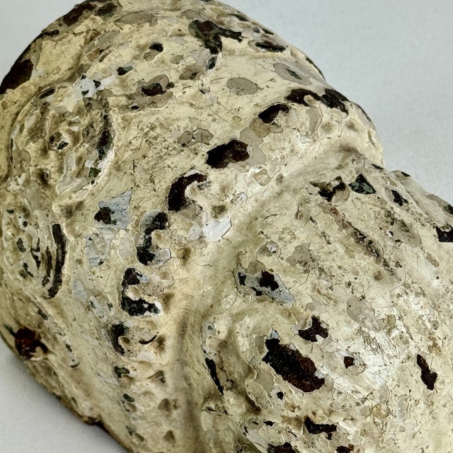 Early 20th Century Vintage Architectural Salvaged Building Exterior Ornamental Painted Metal Element For Sale - Image 5 of 6