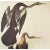 Farmhouse 1966 Vintage Farmhouse Cottage Print "Anhinga" After John James Audubon For Sale - Image 3 of 7