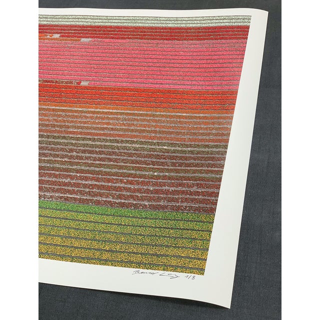 Red AV_Tulip_Fields_035" Contemporary Aerial View Limited Edition Photograph by Bernhard Lang For Sale - Image 8 of 10