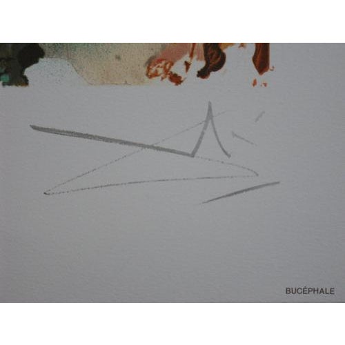 Salvador DALI (1904-1989) The Horses, Bucephale, 1983 Lithography Signed in the plate On Arches vellum 56 x 36 cm...