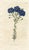 Original early-1800s hand-colored botanical print published in "Curtis's Botanical Magazine", the oldest and longest...