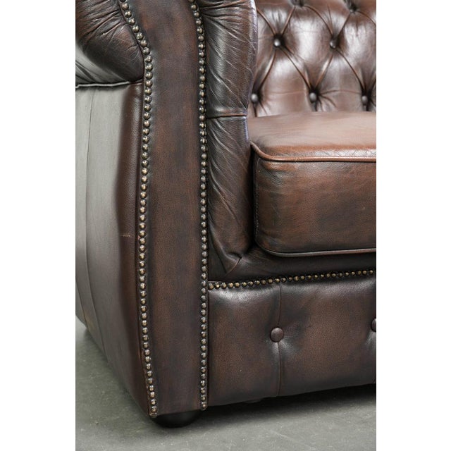English Style Brown Cowhide Chesterfield 3-Seater Sofa For Sale - Image 10 of 12