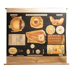 1950s Winslow Heath and Hygiene Series. W11: The Eye.