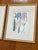 Bunny Williams Home Vintage Iris Botanical Prints in Gold Frames, a Pair For Sale - Image 4 of 8
