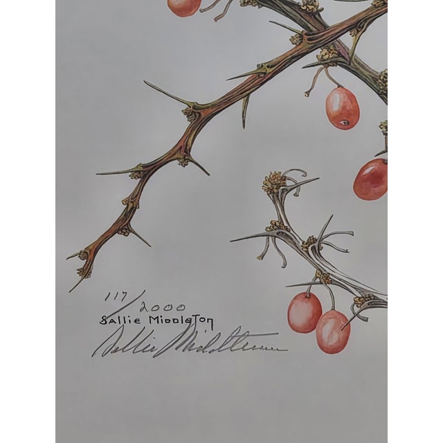 Realism Sallie Middleton “December” Carolina Chickadee Limited Edition Lithograph For Sale - Image 3 of 6