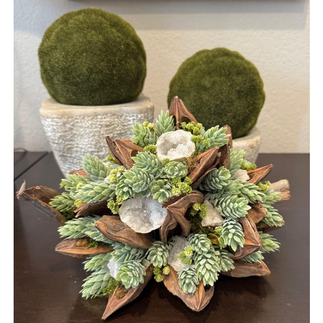 Elevate your décor with this one-of-a-kind botanical sculpture crafted inside a striking natural Star Pod shell. The...